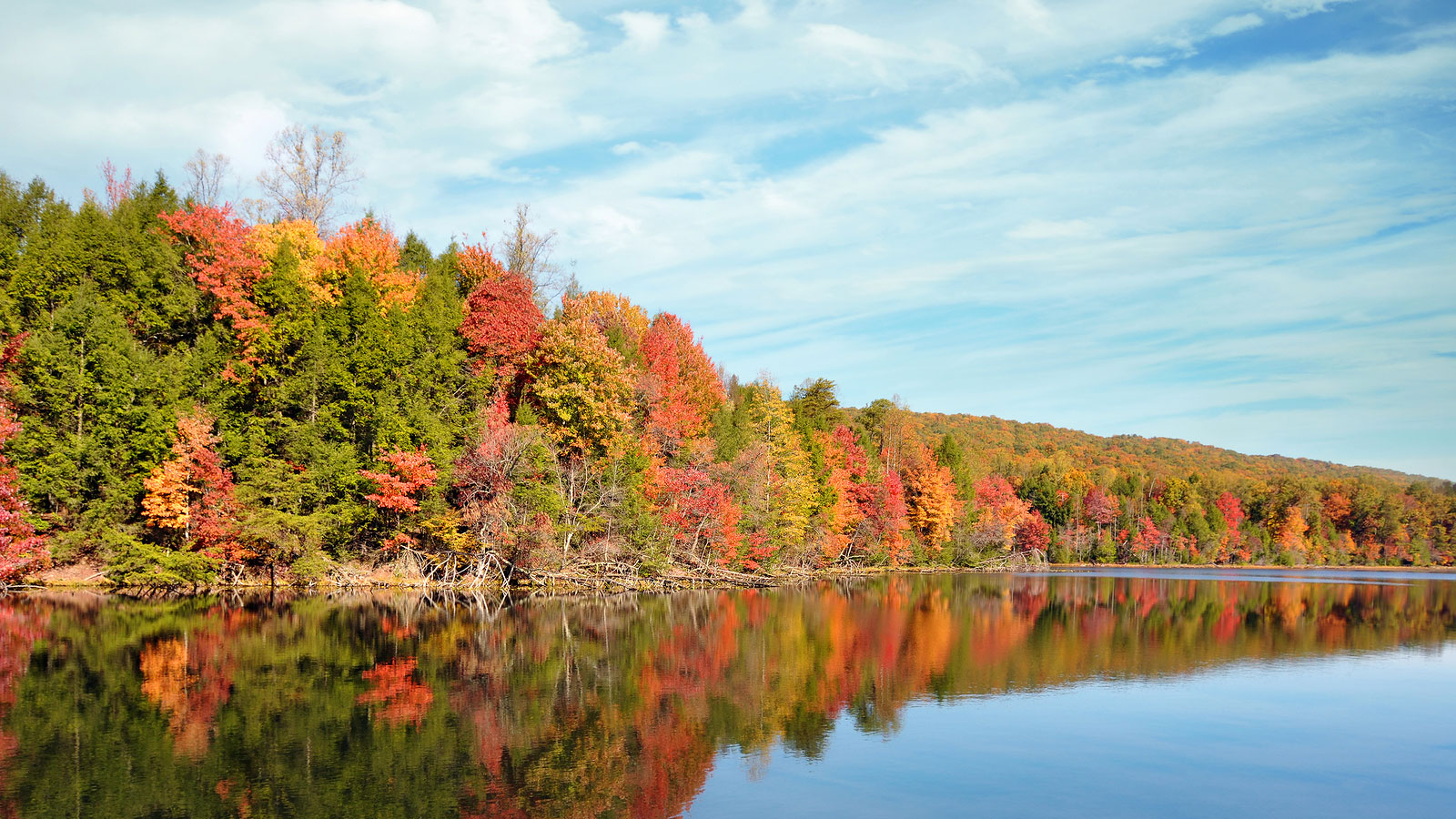 Dayton, OH / Miami Valley Homes for Sale & Real Estate Irongate Realtors